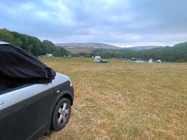 Field view