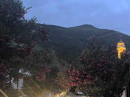 Night lights