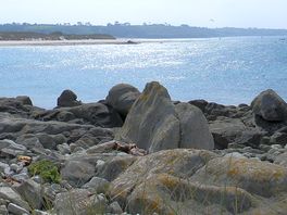 Looking west from the harbour