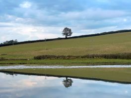 Tidal river