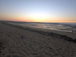 Sunset at the beach