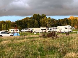 View from the dog walk