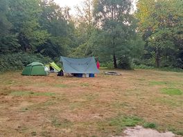 Woodland meadow
