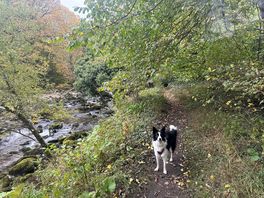 Lovely river walks nearby