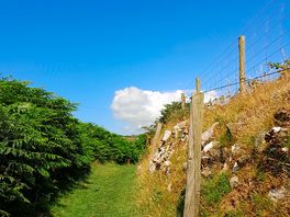 Lovely walk