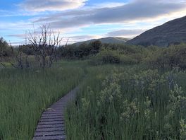 Walking trail from site