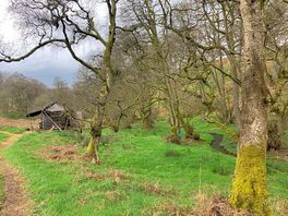 The hut from the path.