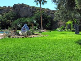 Pool area