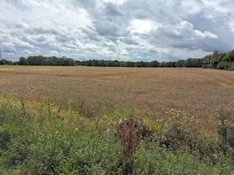 Field surrounding area