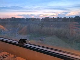 View from window.