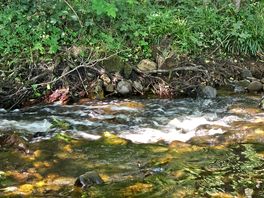 Stream, perfect for children to paddle and play rock towers