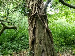 Nature in all its majesty