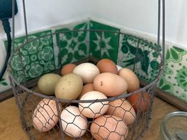 Eggs for sale