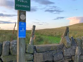 Local walk