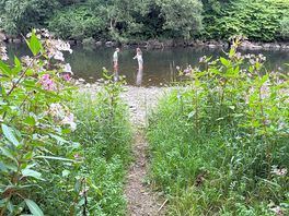 River next to pitch