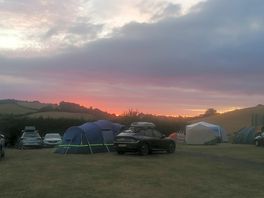 Sunset on field h
