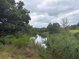 View walking around the woods