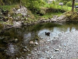 Stream next to glamping sits