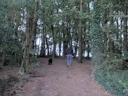 Local woods.