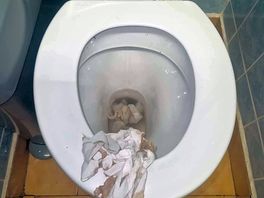 This was here for two days