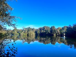 View from lake