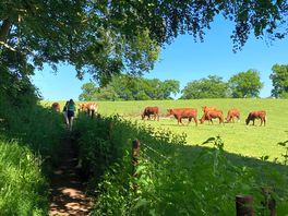 On a walk around ellesmere