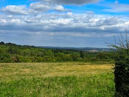 Lovely views