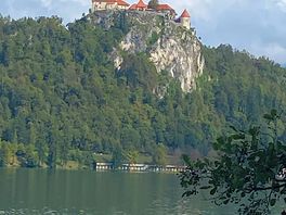 Bleder see