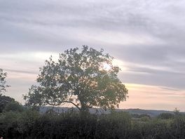 Sunset view in bucklegrove caravan and camping park