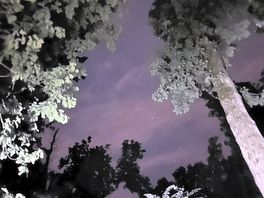 View of the sky from our pitch