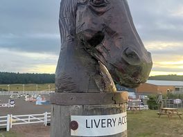 Horse head