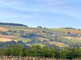 View from site