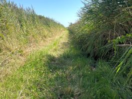 A walk along the stream nearby on an east sussex footpath.