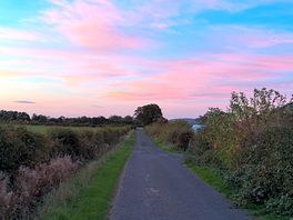 Culley’s meadow
