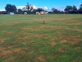 Large site.