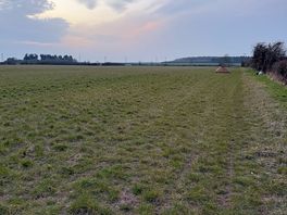 Will camping field