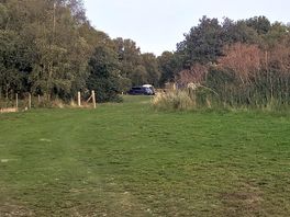 Evening walk around the campsite.