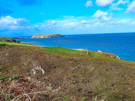 Coastal path