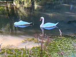 Onsite fishing lakes