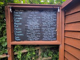 Herb garden
