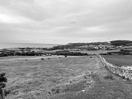 The bay