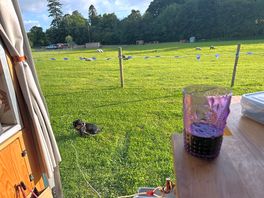 Perfect peaceful view