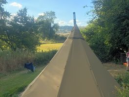 Mavis tipi