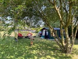 Our pitch