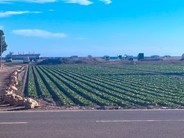 200 metres to the beach