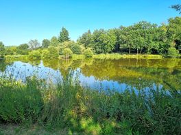 A walk around the lake