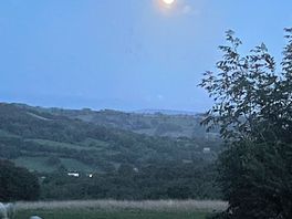 🌙