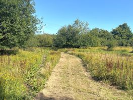 The path to the pitches