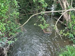 River
