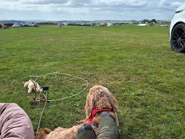 Man and dog at peace.